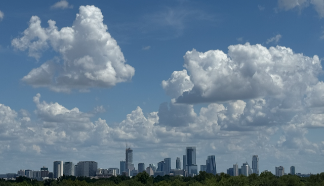 an image with no alt text